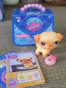 PUG DOG #G7 #227 - Authentic Littlest Pet Shop - Hasbro LPS - Picture 1 of 2