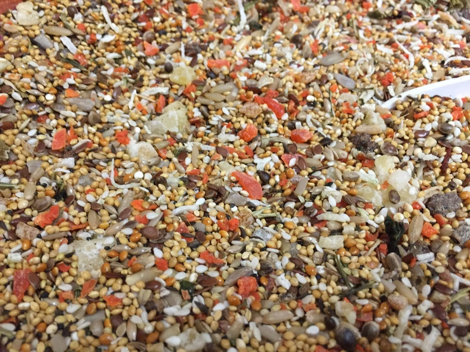 Higgins Sunburst Fruits and vegetable small birds Treats canary finch tiel diet - Image 1 of 1