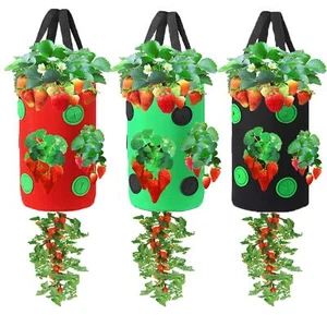 3 Pieces Upside Down Tomato Planter 3 Gallons Grow Bags Hanging Strawberry Pl... - Picture 1 of 7