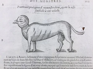 Dottore Bellanger Melun 1614 Blandy Les Tours Sézanne Animali Mostri Cane - Picture 1 of 7