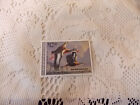 1991 BLACK BELLIED WHISTLING DUCK UN HINGED FEDERAL DUCK STAMP