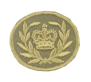 Aufnäher Royal Canadian Armed Forces Master Warrant Officer Patch Kanada Air For - Bild 1 von 2
