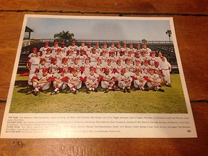 VINTAGE 1970's ST. LOUIS CARDINALS 8 x 10 Photo on High Stock Paper  - Picture 1 of 2