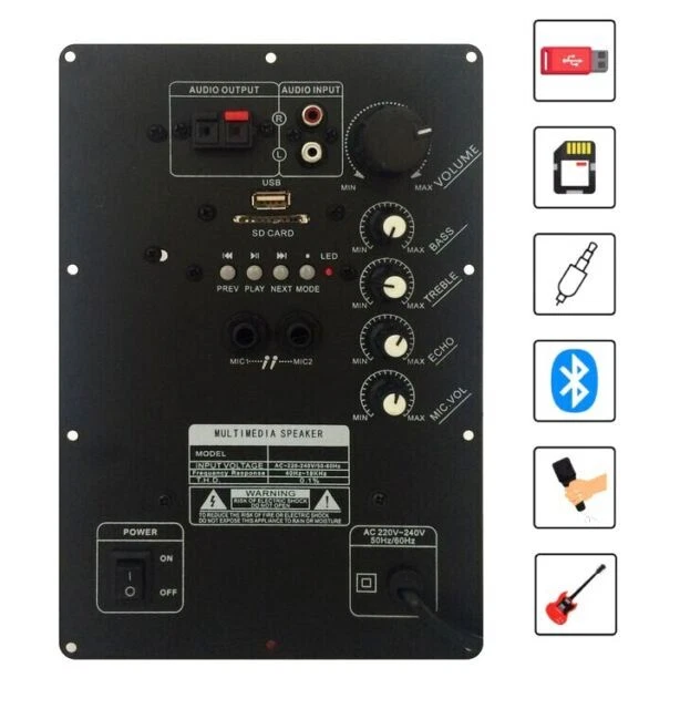 Web P100 Modulo Amplificatore per Cassa Acustica - Nero