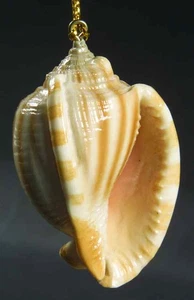 Slavic Treasures Resin Animal Ornaments Scotch Bonnett - No Box 6447463 - Picture 1 of 1