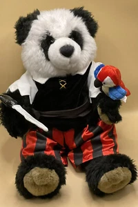 build-A-Bear panda in Pirates costume with parrot - Picture 1 of 5