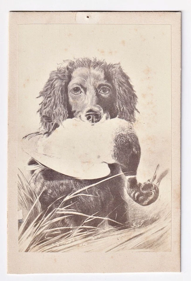 Jagdhund und wilde Ente / Hund dog Jagen Jagd duck Gemälde CDV photo Foto 1870 - Bild 1 von 1