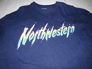 Vintage Northwestern University Wildcats Hanes Beefy T NCAA T Shirt Size XXL - Picture 1 of 4