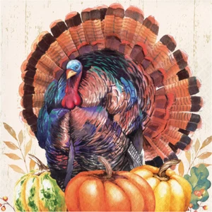 Harvest Turkey 16 Ct Paper Dinner Napkins Thanksgiving 3 Ply - Picture 1 of 3