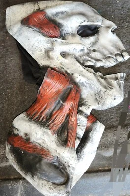 Skull Mask With Skeleton Neck Full Mask Adult Halloween Costume Dress Up Gross - Image 1 of 4