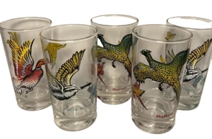 Wildvögel Longdrink Cocktail Gläser 5er Set Ente Fasan - Wildgänse - Bild 1 von 5