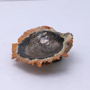 Graziella Laffi 925 Peru Red Spiney Austernschale mit Sterling Silber Futter - Bild 1 von 10