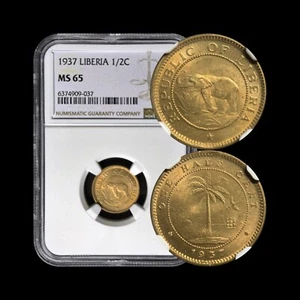 LIBERIA. 1937, 1/2 Cent - NGC MS65 - Elephant, Palm Tree 037 - Picture 1 of 5