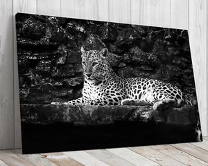 Leopard in schwarz-weiß montierter Leinwand fertig zum Aufhängen - Bild 1 von 9