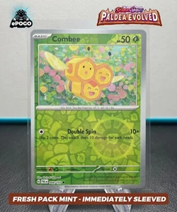 Pokémon Holo Inverso Combee 008/193 JCC: Paladea Evolved COMO NUEVO ENVIADO HOY 🙂 - Imagen 1 de 2