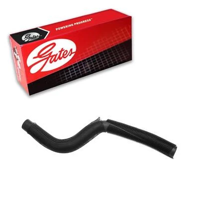 Gates Radiator Coolant Hose Lower For 2009-2017 Dodge Journey 2.4L L4 GAS - Image 1 of 2
