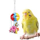 Parrot Chew Toy Hollow Ball Toy Bird Accessories Bird Cage Hanging Toys