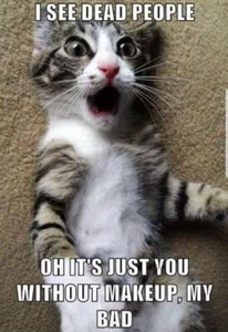 Funny Cat  refrigerator magnet 3 1/2 x  4 1/2" Made in the USA - Picture 1 of 1