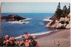 Oregon OR Washington WA Pacific Ocean Seacoast Postcard Old Vintage Card View PC