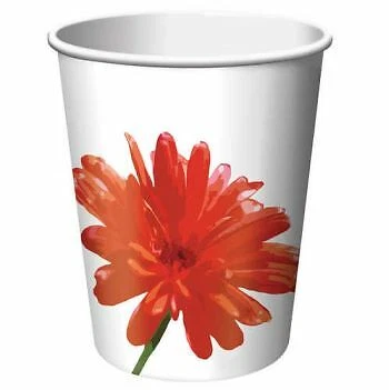 Suncatcher 9 oz Hot/Cold Paper Cups 8 Per Pack Spring Floral Party Tableware - Image 1 of 1