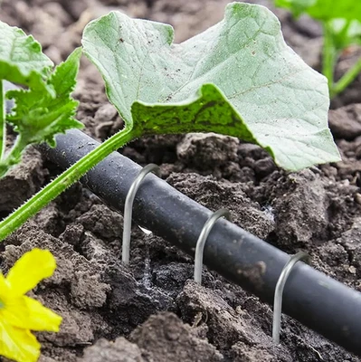 10 шт. U-образные садовые скобы: сверхпрочные оцинкованные булавки для ландшафтного дерна — НОВЫЕ - Изображение 1 из 4