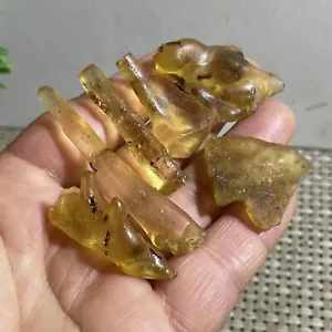 6pc 12g Natural Honey Baltic Amber Untreated Specimen - Picture 1 of 13