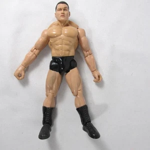 Figura de lucha libre Randy Orton WWE Titan Tron Live JAKKS Pacific 1999 - Imagen 1 de 8