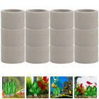 12x Aquawasserpflanzen mit Keramik-Blumentopf-Ringen für Aquarium-Deko