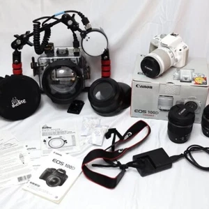 Lot de photographies sous-marines Canon SL1/100D et Ikelite - Photo 1 sur 10