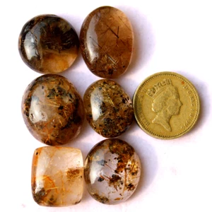 6 Pcs Natural Golden Rutilated Garden Quartz 19mm-24mm Cabochon Loose Gemstones - Picture 1 of 12