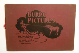 1902 "Quadri Burro" W.A. Libretto fotografico tradizionale Manitou, asini del Colorado carino - Foto 1 di 5