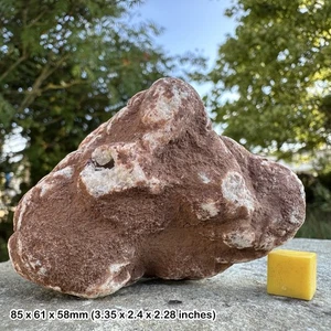 Rare Calcite Crystals in Vug - Sidmouth Mudstone Formation, Triassic, Sidmouth, - Picture 1 of 1