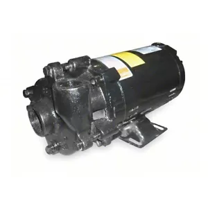 Bomba centrífuga Dayton 2ZWP6 1 HP, 3 Ph, 230/460 V CA, 50 ft cabezal máximo, 3.450 RPM - Imagen 1 de 3
