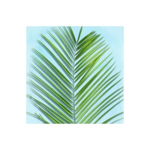 Druck auf Leinwand oder Papier Poster oder Rahmen Jensen Mia Palm auf Blau V - Bild 1 von 2