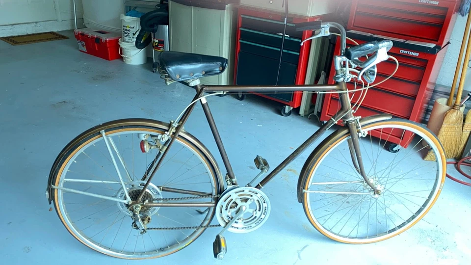 Schwinn 1973 10 velocidades 28"    Foto 1 de 1