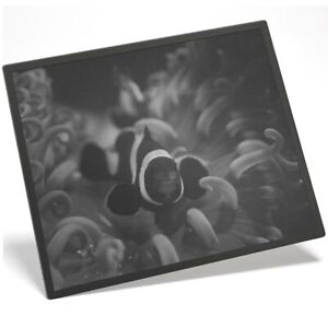 Placemat Mousemat 8x10 BW - Onyx Clownfish Tropical Reef  #39332