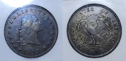 1795 Flowing Hair Dollar $1 3 Leaves BB-27, B-5 NGC AU 53 Cover
