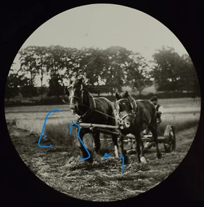 ARBEITSPFERDE SHIREHAMPTON NR BRISTOL DATIERT 1905 Magische Laterne Dia FOTO - Bild 1 von 6