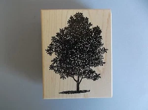 100 PROOF PRESS RUBBER STAMPS CITRUS TREE NEW STAMP - Picture 1 of 1