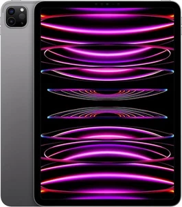 Apple iPad Pro (2022) 2TB [12,9" WiFi + Cellular] spacegrau - Bild 1 von 1
