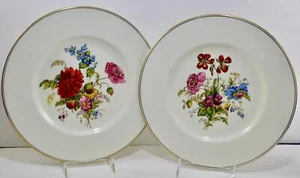 Wedgwood England Posy Sprays weißer Rand 2 Speiseteller Blumen 10,75" Neu ohne Etikett nicht mehr produziert - Bild 1 von 12