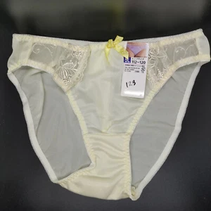 US SIZE 2XL SHINY NYLON TRICOT PANTIES from Japan - Picture 1 of 6