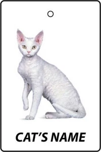 Personalised Devon Rex Cat Name Car Air Freshener - Picture 1 of 2