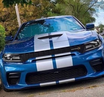 FITS Dodge Charger 15 to 24 Duel Racing Stripe 10" Graphics Vinyl Decal 36 FEET - Image 1 of 4