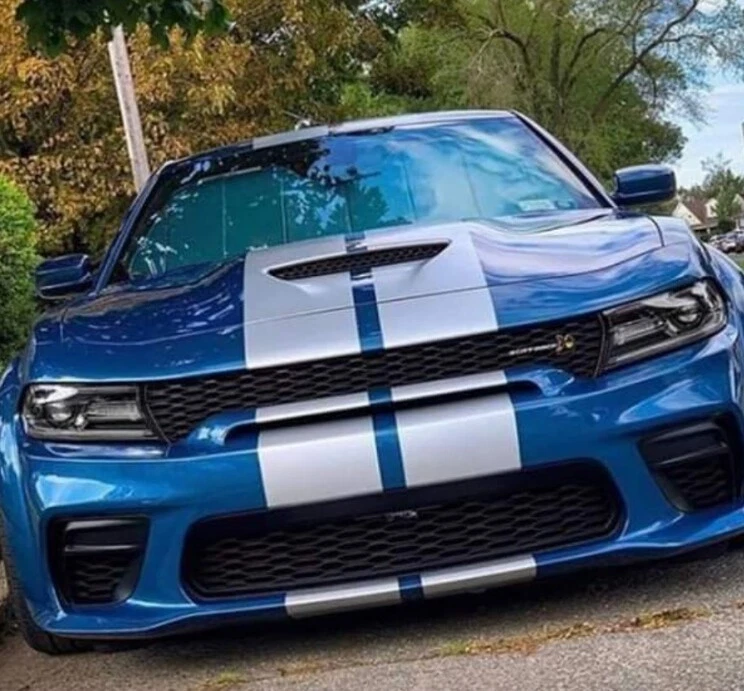 FITS Dodge Charger 15 to 25 Duel Racing Stripe 10" Graphics Vinyl Decal 36 FEET - Image 1 of 4