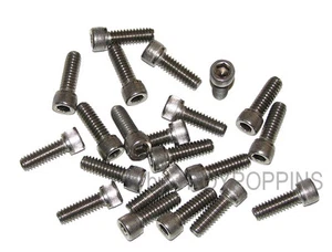 20-SS 1/4""-20 x 3/4"" SH SOCKET CABEZAL ALLEN TORNILLOS ACERO INOXIDABLE 18-8 - Imagen 1 de 1