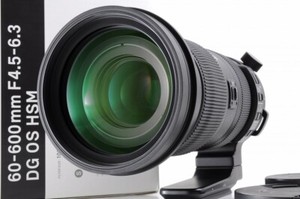 [Mint in Box] SIGMA 60-600mm f/4.5-6.3 DG OS HSM Sports for Canon EF-Mount #11