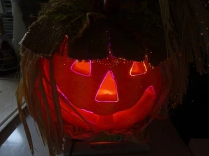 Vintage Gemmy Color Changing Fiber Optic Halloween Scarecrow 2003 - Picture 1 of 15
