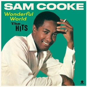 Sam Cooke Wonderful World: The Hits (Vinyl) 12" Album - Picture 1 of 1