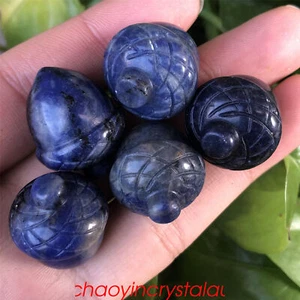 5pcs Natural Sodalite Pine Cones Quartz Crystal polishing Carved Healing Gem - Picture 1 of 12